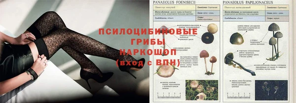 прущие крисы Белоозёрский