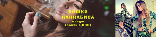 индика Белокуриха