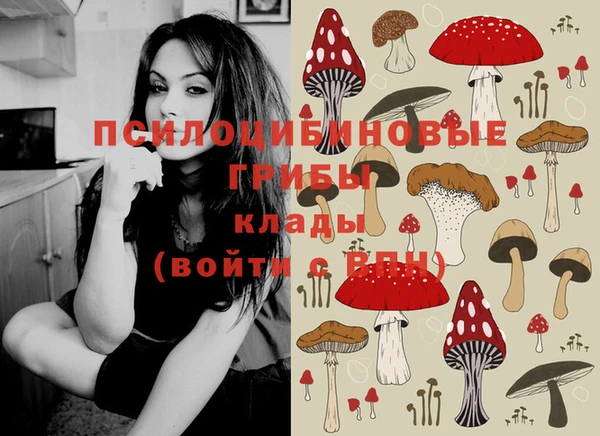 прущие крисы Белоозёрский
