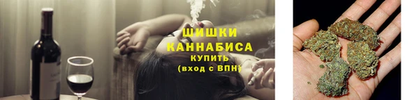 индика Белокуриха