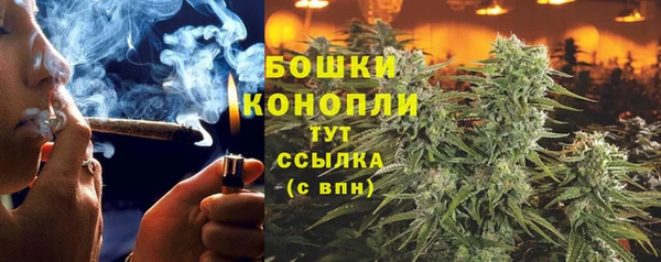 индика Белокуриха