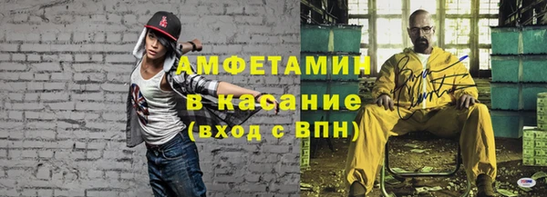 индика Белокуриха