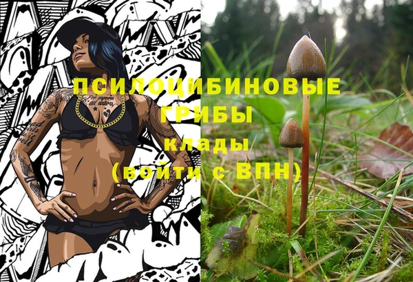 прущие крисы Белоозёрский