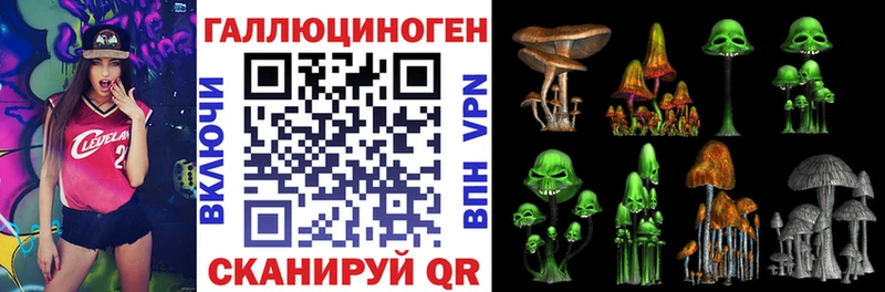 магазин продажи   Корсаков  Галлюциногенные грибы Cubensis 